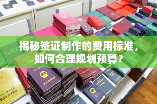 仪征揭秘签证制作的费用标准，如何合理规划预算？