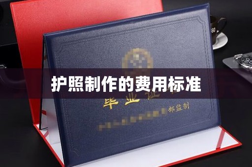 仪征护照制作的费用标准