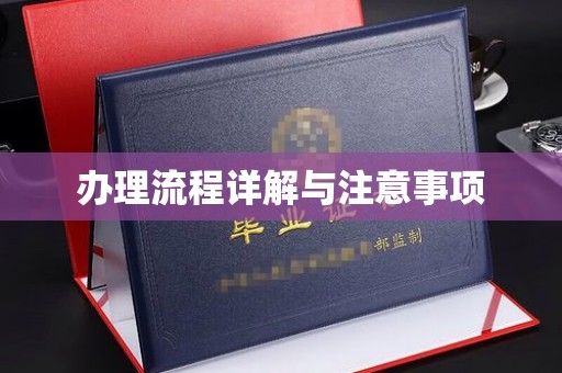 仪征办理流程详解与注意事项